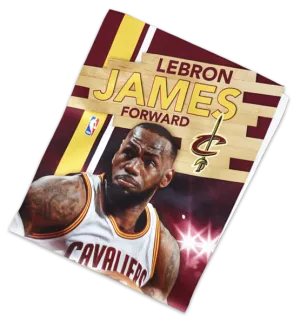 Lebron James Cooling Towel