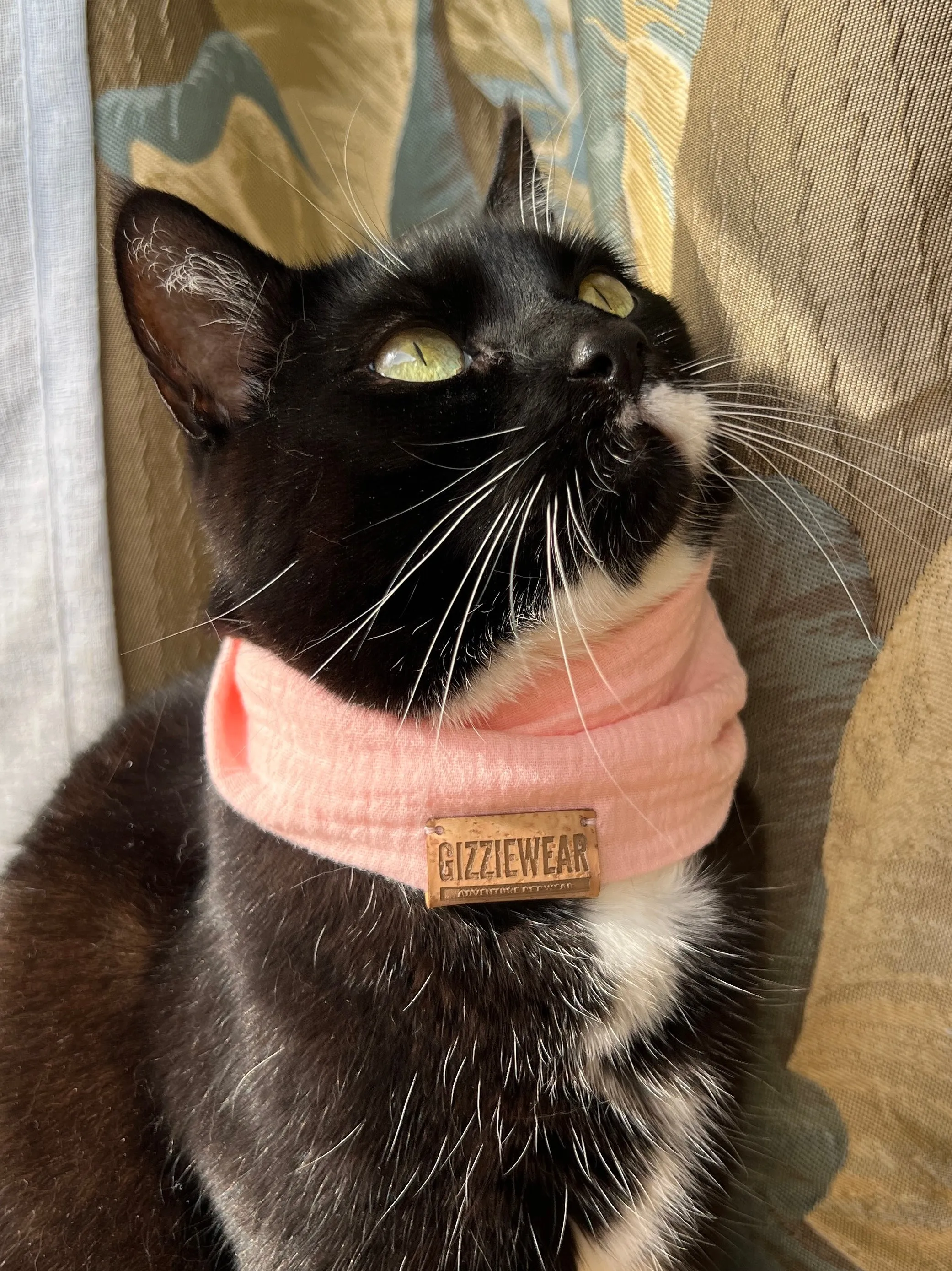 Peach cat scarf